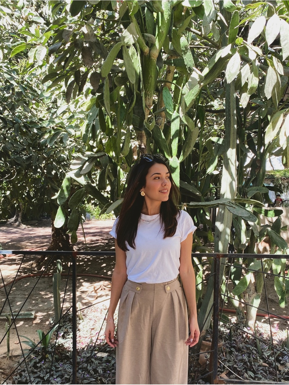 H&M Wide Leg High-Rise Pants in Taupe with Gold Buttons